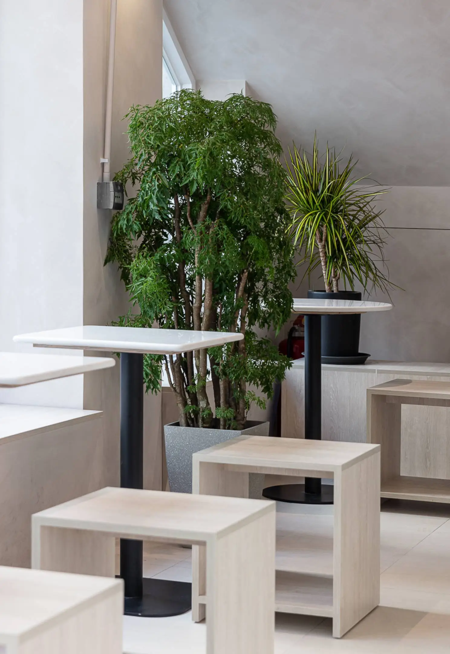 Heyday Café | Cafe design showcase